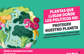 veganuary 2024 2020x1520 protegenplaneta print 20231219173155 