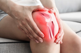 1644251910 iishutterstock652751140 re