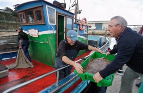 ep archivo pescadores descargan su barco en el puerto de ribadeo a 21 de diciembre de 2022 en ep archivo pescadores descargan su barco en el puerto de ribadeo a 21 de diciembre de 2022 en