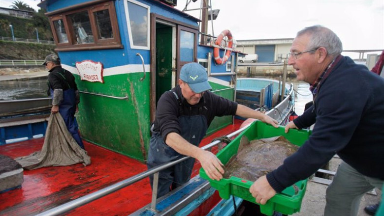 ep archivo pescadores descargan su barco en el puerto de ribadeo a 21 de diciembre de 2022 en ep archivo pescadores descargan su barco en el puerto de ribadeo a 21 de diciembre de 2022 en