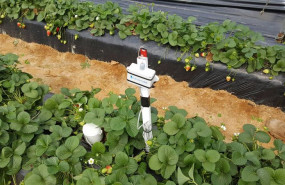 ep archivo   proyecto de eficiencia energetica en el campo
