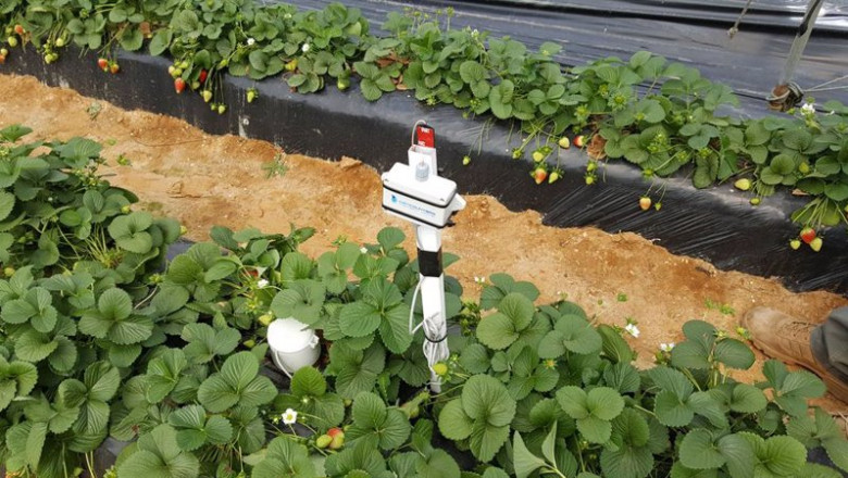 ep archivo   proyecto de eficiencia energetica en el campo