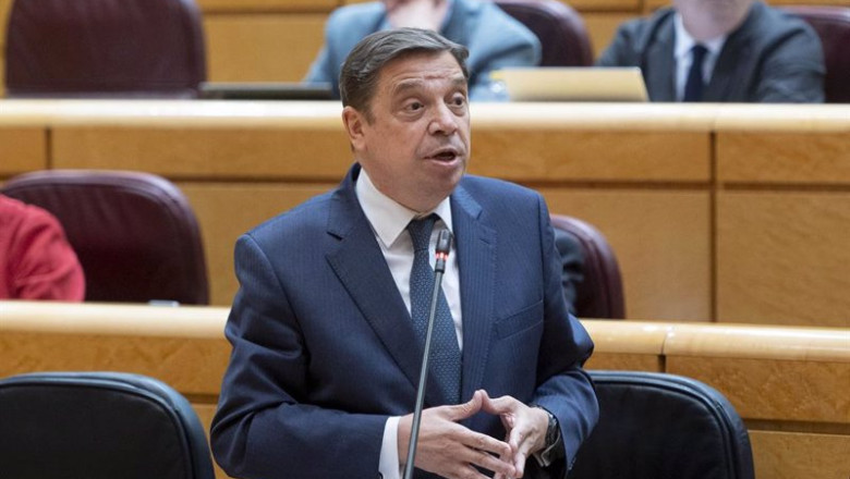 El ministro de Agricultura, Pesca y Alimentación, Luis Planas, interviene durante una sesión de control al Gobierno en el Senado | Alberto Ortega - Europa Press ep el ministro de agricultura pesca y alimentacion luis planas interviene durante una sesion de 20240312184204