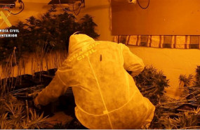ep marihuana decomisada en el barrio de almanjayar de granada