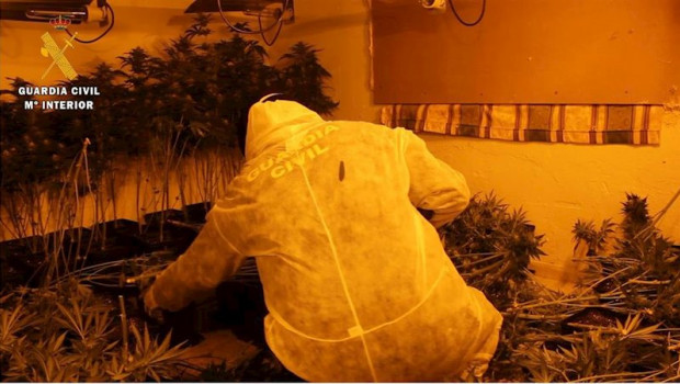 ep marihuana decomisada en el barrio de almanjayar de granada