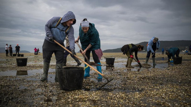 ep mariscadores recogen las conchas y el marisco muerto en la playa de testal a 18 de marzo de 2026