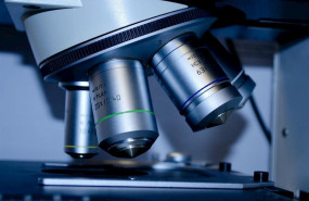 ep microscopio 20200521174903
