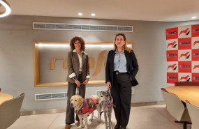 ep renfe incluye la ruta madrid sevilla entre las que permiten viajar con perros de hasta 40 kilos