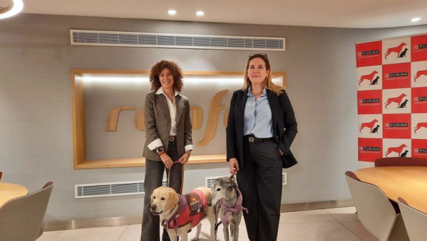 ep renfe incluye la ruta madrid sevilla entre las que permiten viajar con perros de hasta 40 kilos