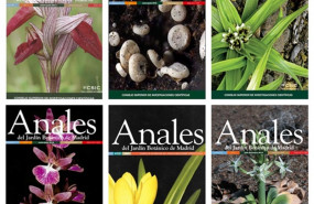 ep revista analesjardin botanicomadrid obtienesellocalidad fecyt