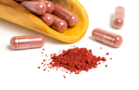 shutter arroz rojo levadura shutter arroz rojo levadura