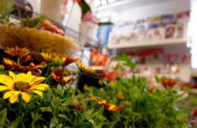 1570646754 captura de pantalla 2019 10 09 a les 203401