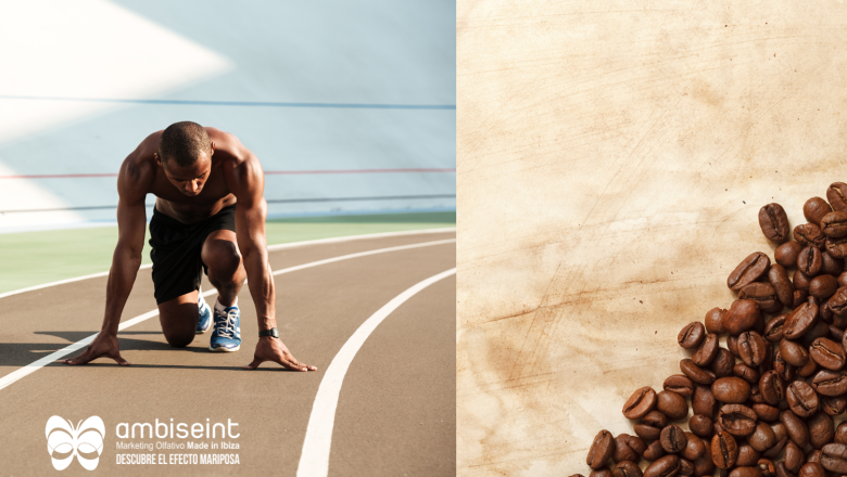 ambiseint presenta los cuatro nuevos aromas de 2024