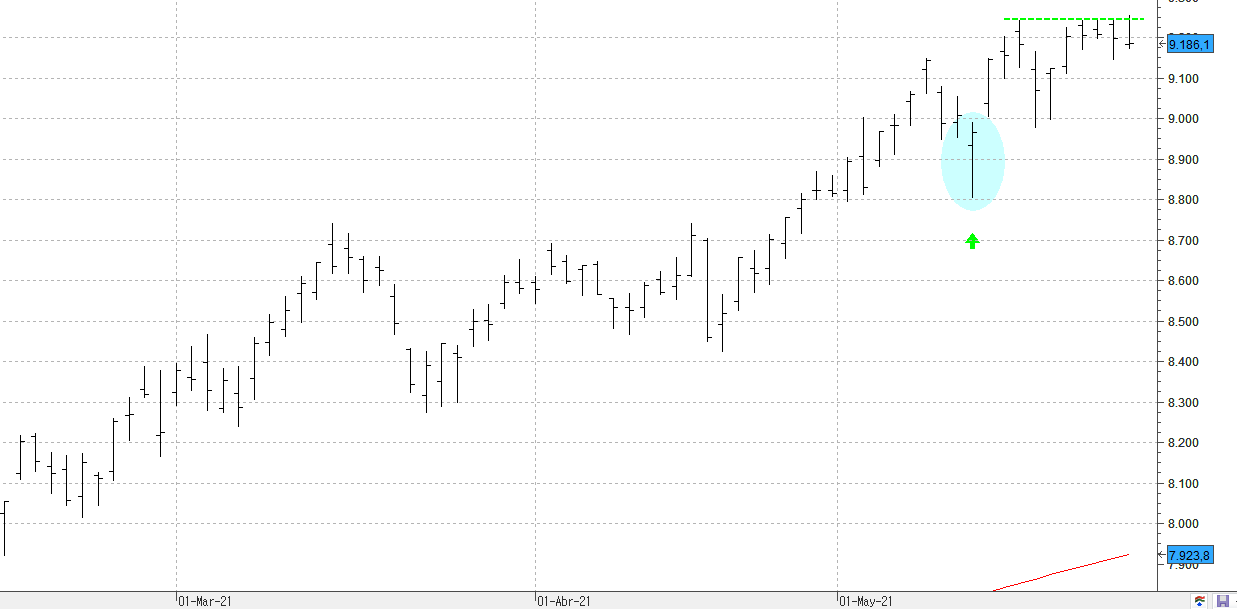 c270521ibex