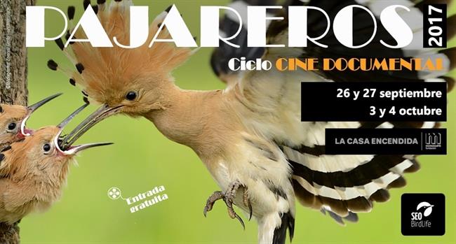 ep ciclocine pajareros