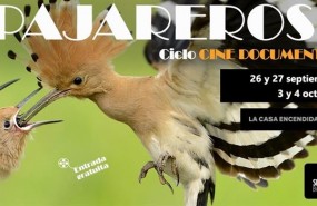 ep ciclocine pajareros