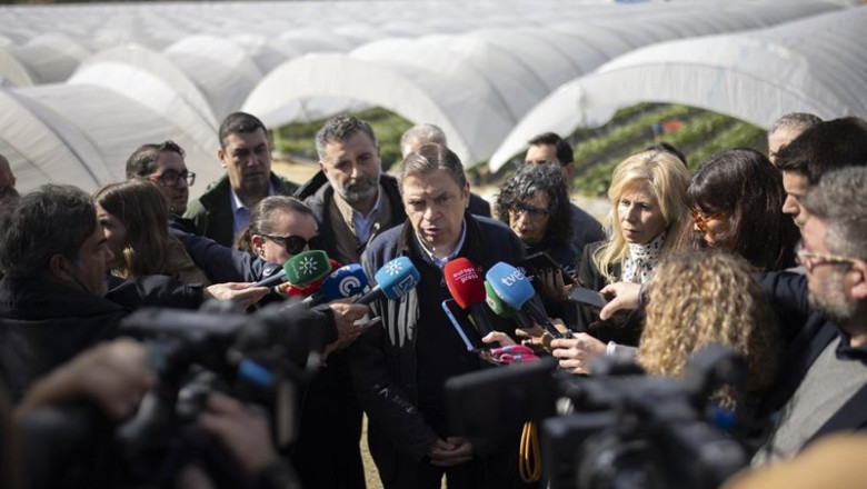 El ministro de Agricultura, Pesca y Alimentación, Luis Planas, atiende a los medios tras visitar una explotación agrícola en Moguer (Huelva). | Clara Carrasco - Europa Press ep el ministro de agricultura pesca y alimentacion luis planas atiende a los medios tras visitar una