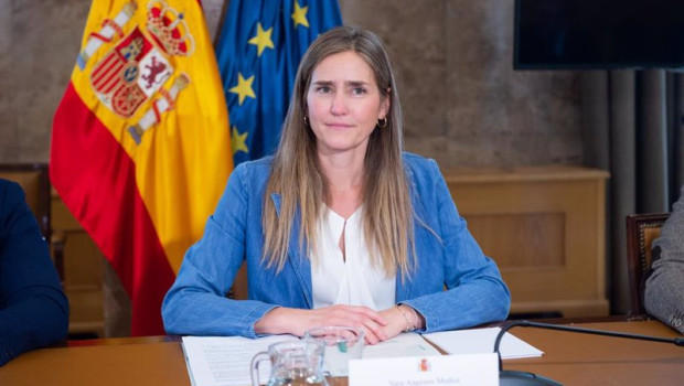 ep la vicepresidenta y ministra para la transicion ecologica y el reto demografico sara aagesen 20250505100102