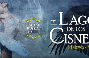 ep lagolos cisnes 20180113190501