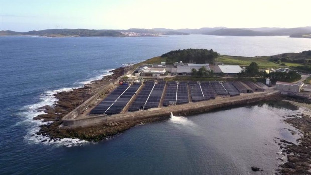 ep telefonica tech digitalizara 14 granjas acuicolas de stolt sea farm en cinco anos