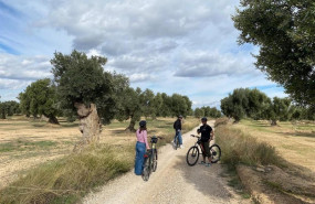 ep turespana y paradores cierran la primera edicion de spain is much more impulsando el turismo de