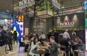 fruit logistica i 