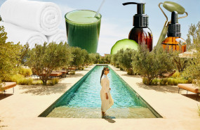 wellth travel 400dpi 20260116121533 