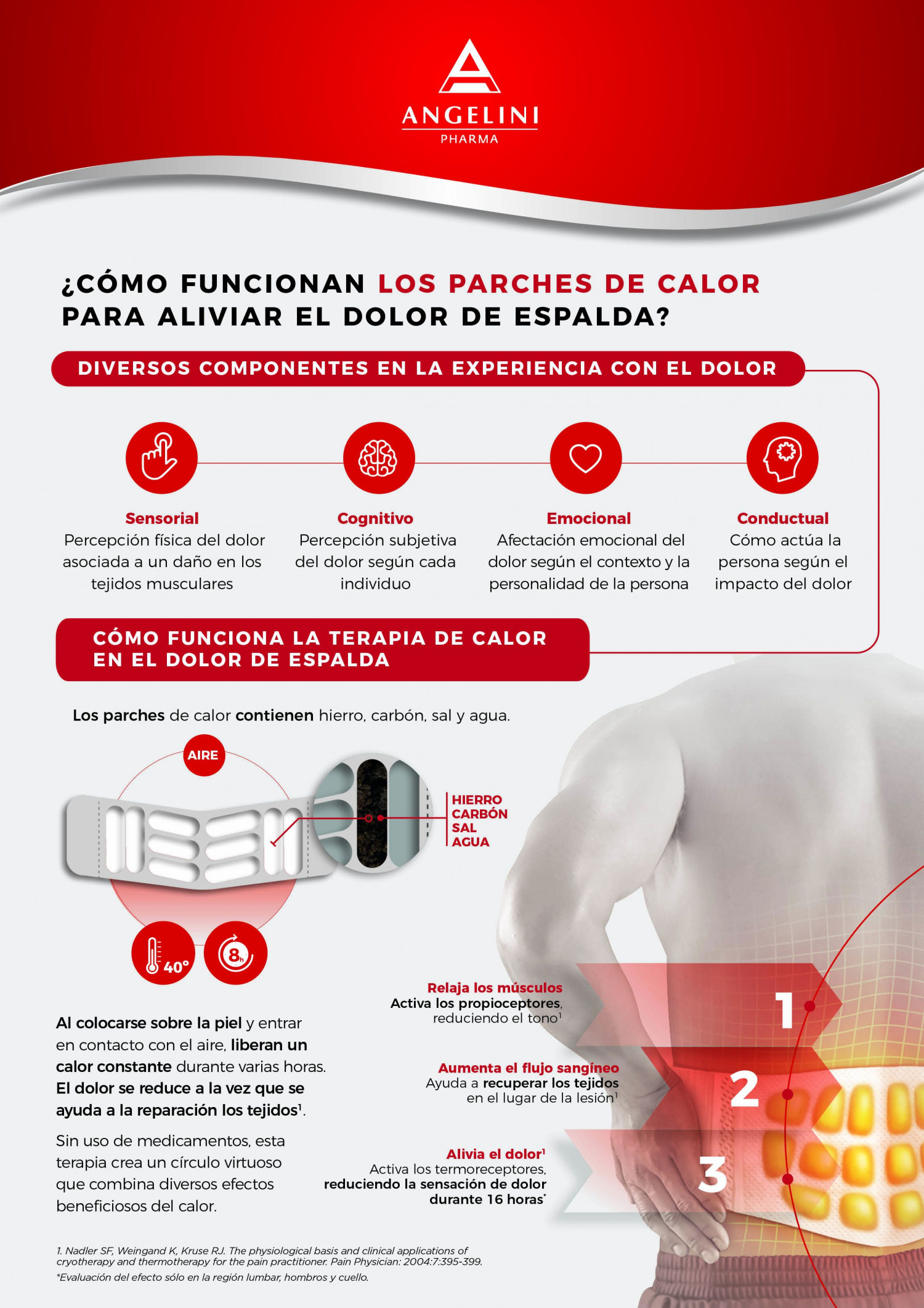 parches de calor dolor de lumbar – Compra parches de calor dolor