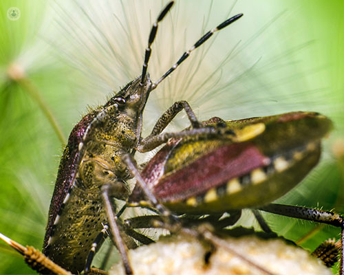 1646733731 foto cabecera