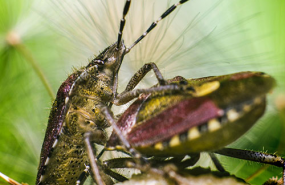 1646733731 foto cabecera