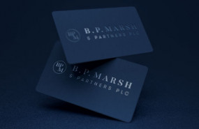 dl bp marsh and partners aim b p marsh brian marsh asset management financial services logo dl bp marsh and partners aim b p marsh brian marsh asset management financial services logo
