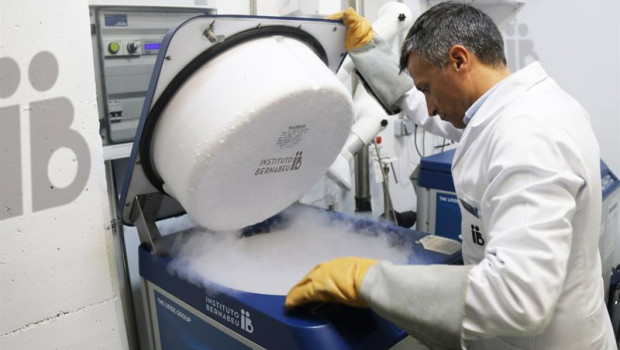 ep archivo embriones congelados ep archivo embriones congelados