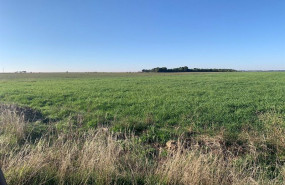 ep archivo   lugar donde audax construira el proyecto fotovoltaico zaratan de cigunuela valladolid