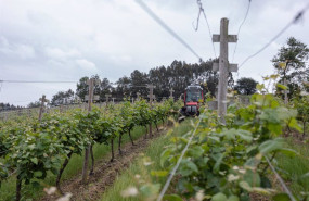 ep archivo   un trabajador montado en un tractor trabaja en los vinedos de la empresa txakoli
