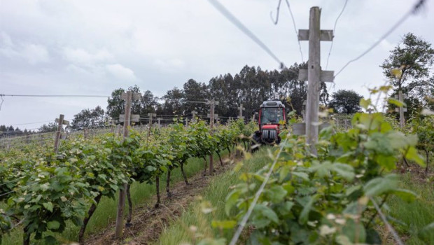 ep archivo   un trabajador montado en un tractor trabaja en los vinedos de la empresa txakoli