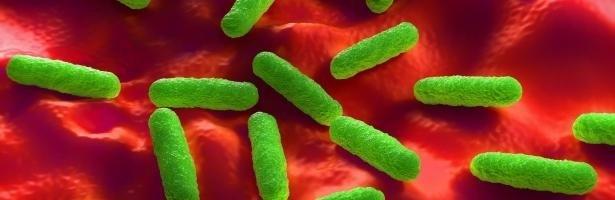 Bacterias resistentes a antibióticos | EFSA ep bacterias resistentesantibioticos