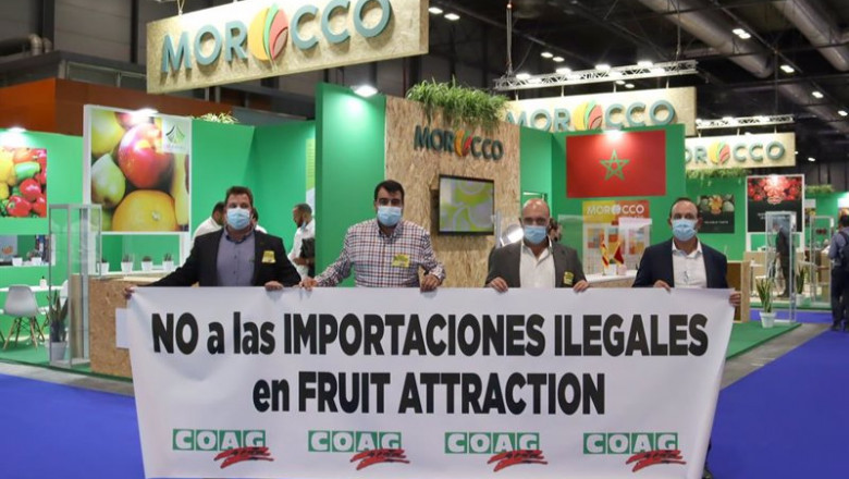 COAG | COAG ep coag