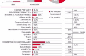 ep el importe de las reducciones de capital disminuyo hasta noviembre un 32 interanual segun