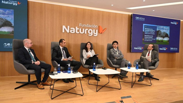 Expertos destacan el papel estratégico del biogás y el biometano como complemento de la electrificación | FUNDACIÓN NATURGY ep expertos destacan el papel estrategico del biogas y el biometano como complemento de la