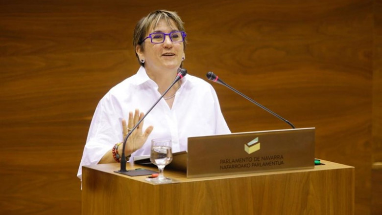 Marisa de Simón, portavoz de I-E en el Parlamento de Navarra. | PARLAMENTO DE NAVARRA - Archivo ep marisa de simon portavoz de i-e en el parlamento de navarra