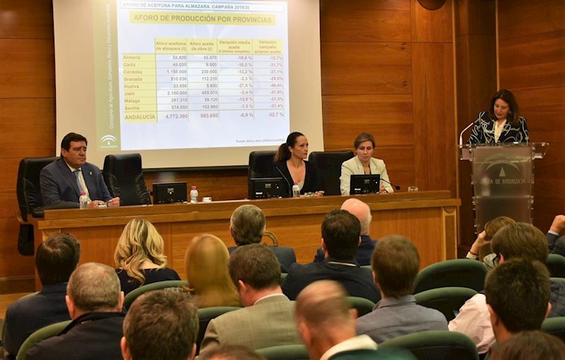 ep presentacion del aforo del olivar para la campana 2019-2020