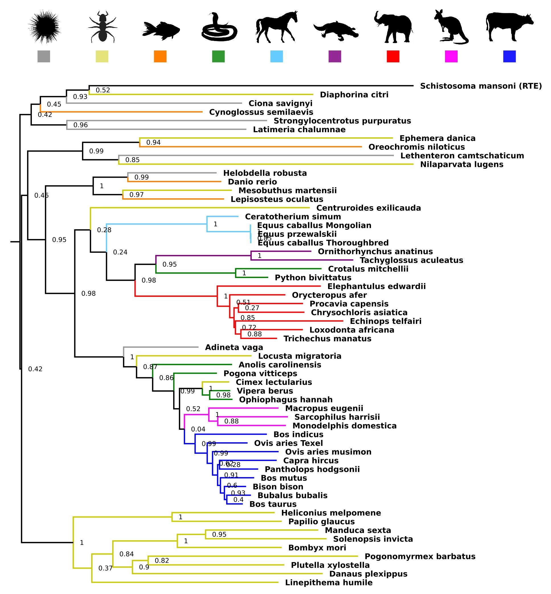 ep transferencias geneticasespecies
