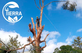 la tierra jardinerian 1 la tierra jardinerian 1