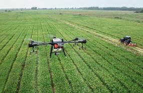 1594046703 5eff0dc231acfimage name