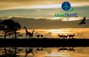 arantravel 1