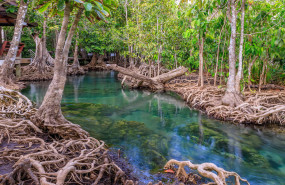 diegoemilianooscarfittipaldi diego emiliano oscar fittipaldi diegoemilianooscarfittipaldi diego emiliano oscar fittipaldi