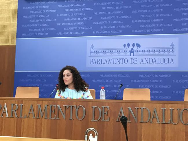 La portavoz adjunta de IU Andalucía Inmaculada Nieto en rueda de prensa | EUROPA PRESS ep la portavoz adjuntaiu andalucia inmaculada nietoruedaprensa