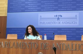 ep la portavoz adjuntaiu andalucia inmaculada nietoruedaprensa