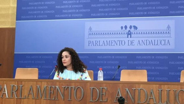 ep la portavoz adjuntaiu andalucia inmaculada nietoruedaprensa