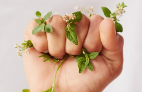 ep mother nature needs all the help she can get cropped shot of an unidentifiable womans hand
